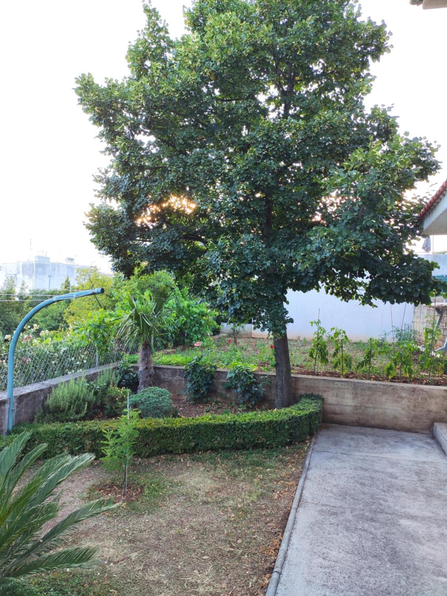 Apartment With Private Garden And The Terrace Ev Station Available Crikvenica Eksteriør bilde