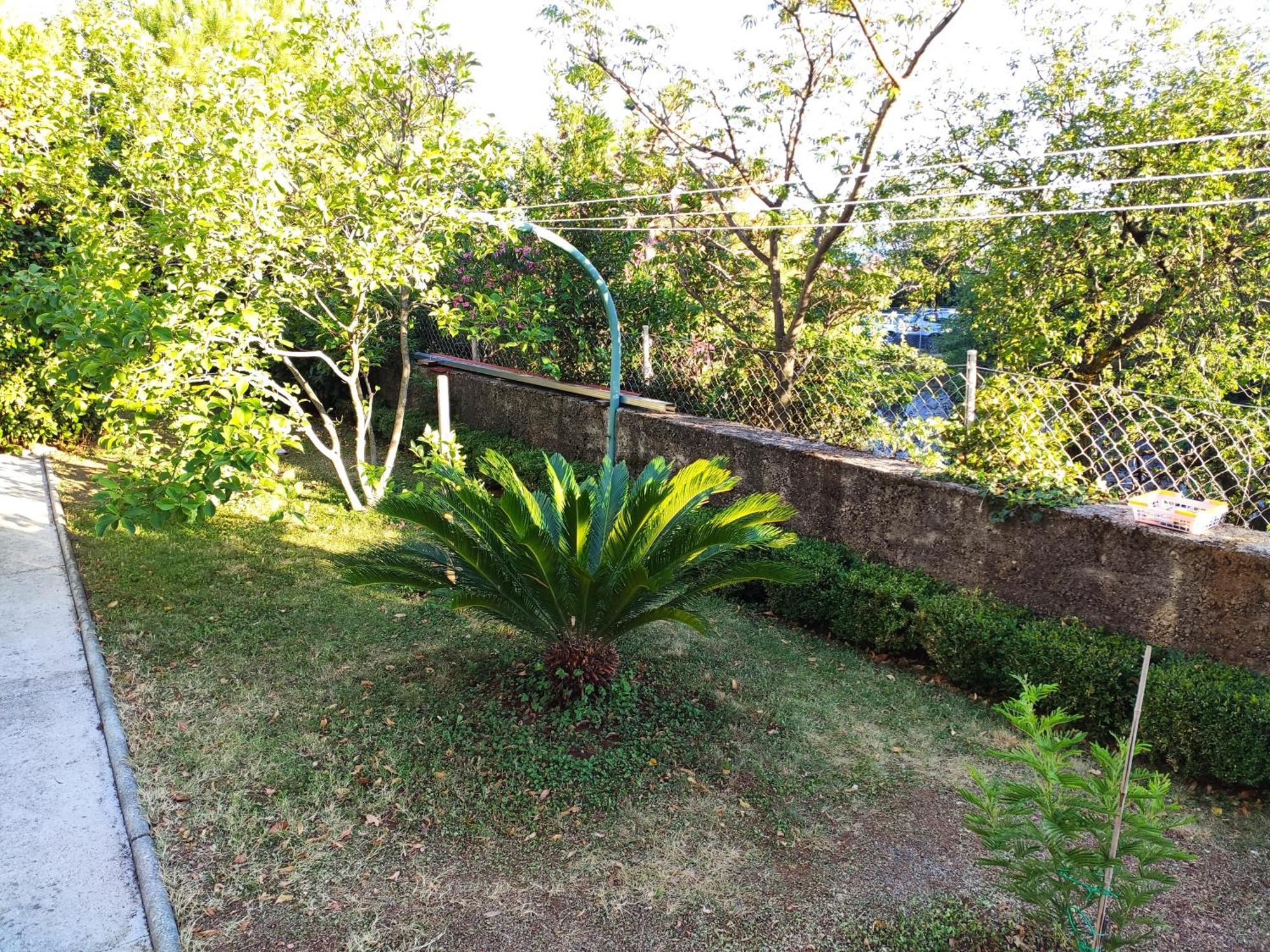 Apartment With Private Garden And The Terrace Ev Station Available Crikvenica Eksteriør bilde